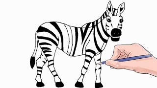 How to Draw a Zebra Easy Step by Step [upl. by Sarchet]