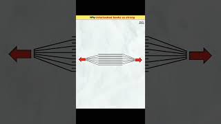 🤯Why Interlocked books so strong😨 experiment 🧪 amazingfacts 😲 knowledge 🤔 [upl. by Hgielek901]