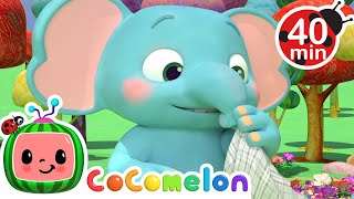 The Sneezing Song  CoComelon  Learning Videos For Kids  Education Show For Toddlers [upl. by Akimehs]