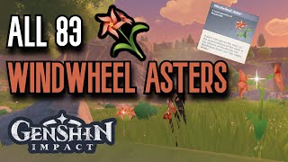 ALL 83 Windwheel Aster Locations  Complete Guide amp Efficient Route  Genshin Impact Mondstadt [upl. by Sokcin926]