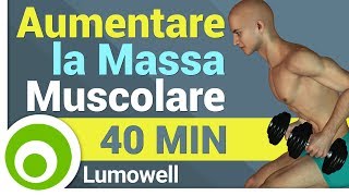 Come Allenarsi a Casa per Aumentare la Massa Muscolare [upl. by Lesko810]