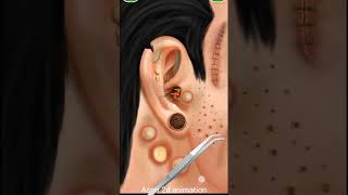 Satisfying ear cleaning asmr animation asmrvideo skincareanimation asmrspa YouTubealgorithm [upl. by Jutta406]