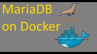 How to run Mariadb in Docker and Connect Remotely [upl. by Netnilc]