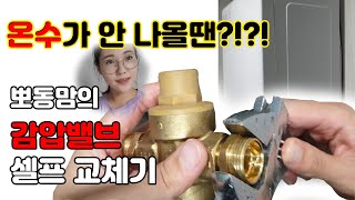 보일러 온수가 안 나올 때 해결방법 감압밸브 셀프 교체누구나 할 수 있어요 [upl. by Brownson]