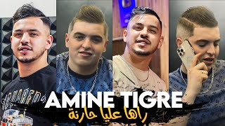 Cheb Amine Tigre 2024  Raha Tzagui Raha 3liya Harna © Avec Hamouda Maradon Exclus 2024  HD Audio [upl. by Endaira]