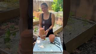 update How to make DIY Ollas 2023 🌱💧 SelfWatering Pots for Plants [upl. by Aicineohp634]