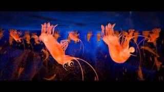 Happy Feet Two  Under Pressure Scene HD [upl. by Lladnyk822]