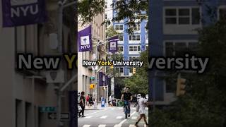 Curious about NYU 🗽 [upl. by Maddi]