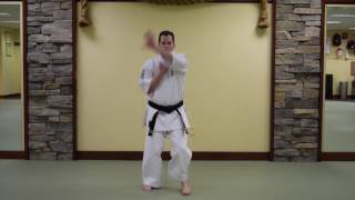 Kanshu Kata  Uechi Ryu [upl. by Sadoff]