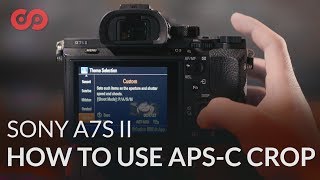 How to Use APSC Crop on the Sony a7S II [upl. by Eilrahs]