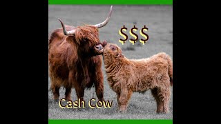 From pasture to profit How much can you make with Scottish Highland Cows [upl. by Nannoc49]