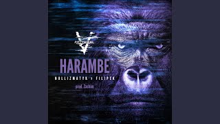 Harambe [upl. by Mylo]