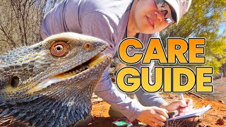 Ultimate Bearded Dragon Care Guide [upl. by Nnylidnarb220]