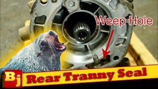 Replace a Leaking Rear Transmission Seal [upl. by Novar]