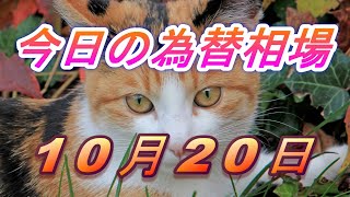 【TAKA FX】ドル、円、ユーロ、ポンド、豪ドルの為替相場の前日の動きをチャートから解説。10月20日 [upl. by Archy]