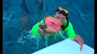 Queen Conch in The Exuma Cays Staniel Cay Catch Clean Cook [upl. by Loss]