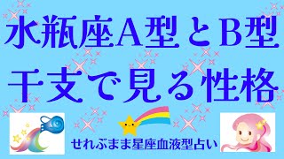 星座×血液型と干支で見る性格 水瓶座A型、B型編 星座占いと血液型占いでわかる 性格とあの人との相性 せれぶまま星座血液型占い [upl. by Halyk117]