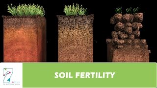 SOIL FERTILITY [upl. by Cherice720]