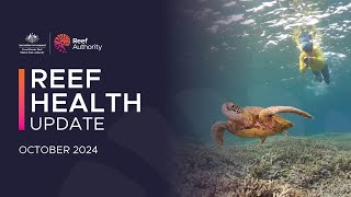 Reef Health Update  October 2024 [upl. by Anemolihp67]