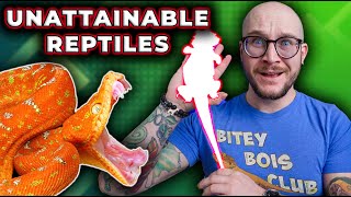 5 DREAM Reptiles I Cant Afford But Maybe YOU Can [upl. by Ariamoy]