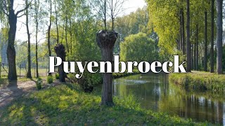 Provinciaal Domein Puyenbroeck [upl. by Trow]