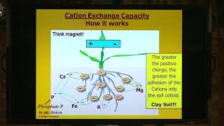 How Cation Exchange Capacity works [upl. by Ahsinwad]