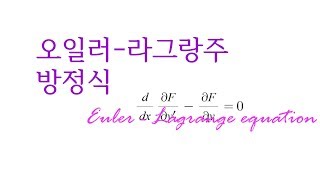 변분법 기초 오일러 라그랑주 운동 방정식 이해하기 EulerLagrange equation [upl. by Idolem]