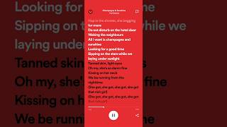 PLVTINUM Champagne amp Sunshine  Lyrics [upl. by Hephzipah479]