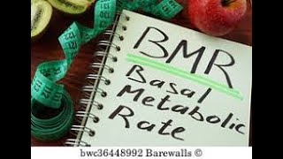 How to Calculate BMR [upl. by Redep]