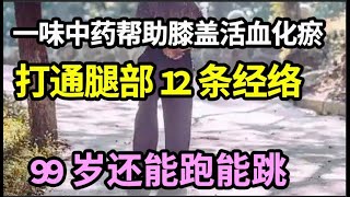 膝盖老化走路痛？一味中药帮助膝盖活血化瘀，打通腿部12条经络，延长膝盖寿命，99岁还能跑能跳【本草养生大智慧】 [upl. by Hamal171]