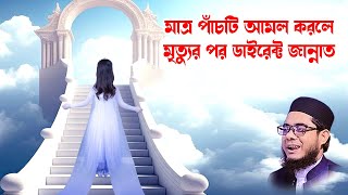 মাত্র পাঁচটি আমল করলে মৃত্যুর পর ডাইরেক্ট জান্নাত mufti shahidur rahman mahmudabadi waz 2024download [upl. by Pine]