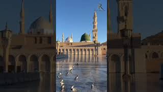 Seyyed abdul wasi qadri razvi naat shorts new viralvideo [upl. by Nylsirk]