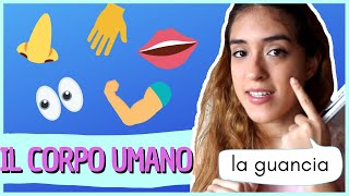 O CORPO HUMANO em italiano vocabulário [upl. by Chico]