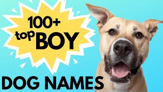 Top 100 Unique MALE Dog Names– Unusual Male Dog Names [upl. by Acyre598]