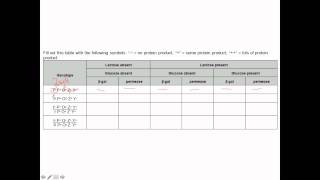 Operon3sophisticated [upl. by Ennayk91]