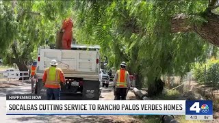 Whats like to live without gas service in Rancho Palos Verdes [upl. by Ybanrab]