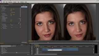 Portraiture Plugin for Video Tutorial [upl. by Shaeffer]