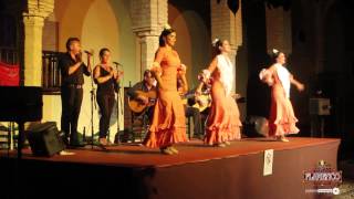 Tablao Flamenco EL CARDENAL Córdoba [upl. by Eiralih585]