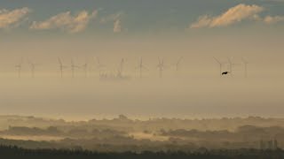 Wissenswertes über Nebel [upl. by Brandyn927]