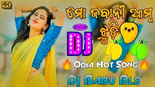 Mo Jabani Amba Jhudi Odia Song Dj  Odia Dj Song  Dj Babu Bls [upl. by Howlend]