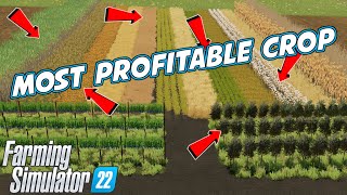 FS22 Most Profitable Crop  Farming Simulator 22 [upl. by Ynotna]