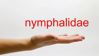 How to Pronounce nymphalidae  American English [upl. by Cock68]