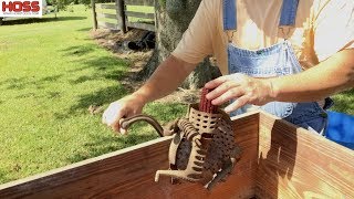 best way to process corn cut how to do sweet corn [upl. by Bartholemy]