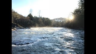 Winter Steelhead Fishing the Coos Coquille and Tenmile District [upl. by Avon]