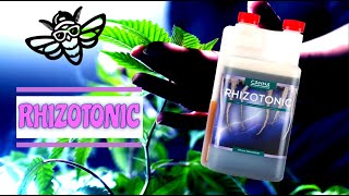 Canna Rhizotonic 🌴 Erklärt 🌷 [upl. by Noved870]