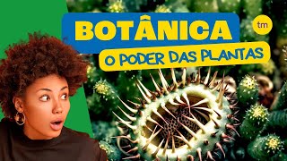 BOTÂNICA em 4 Minutos [upl. by Anelaj]