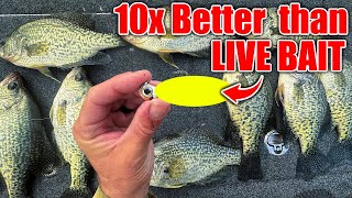 this New Lure OUT FISHES Live Bait 10 to 1 BEST Crappie amp Bass Winter Bait [upl. by Thor326]