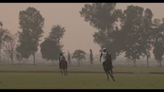 PRACTICE CHUKKERS [upl. by Ariik441]