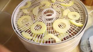 So does it work Nesco food dehydrator [upl. by Einnov]