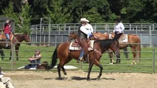 RANCH HORSE TRAIL  Garden of England Show  July 2016 [upl. by Eramal726]